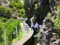 Madeira0898.JPG